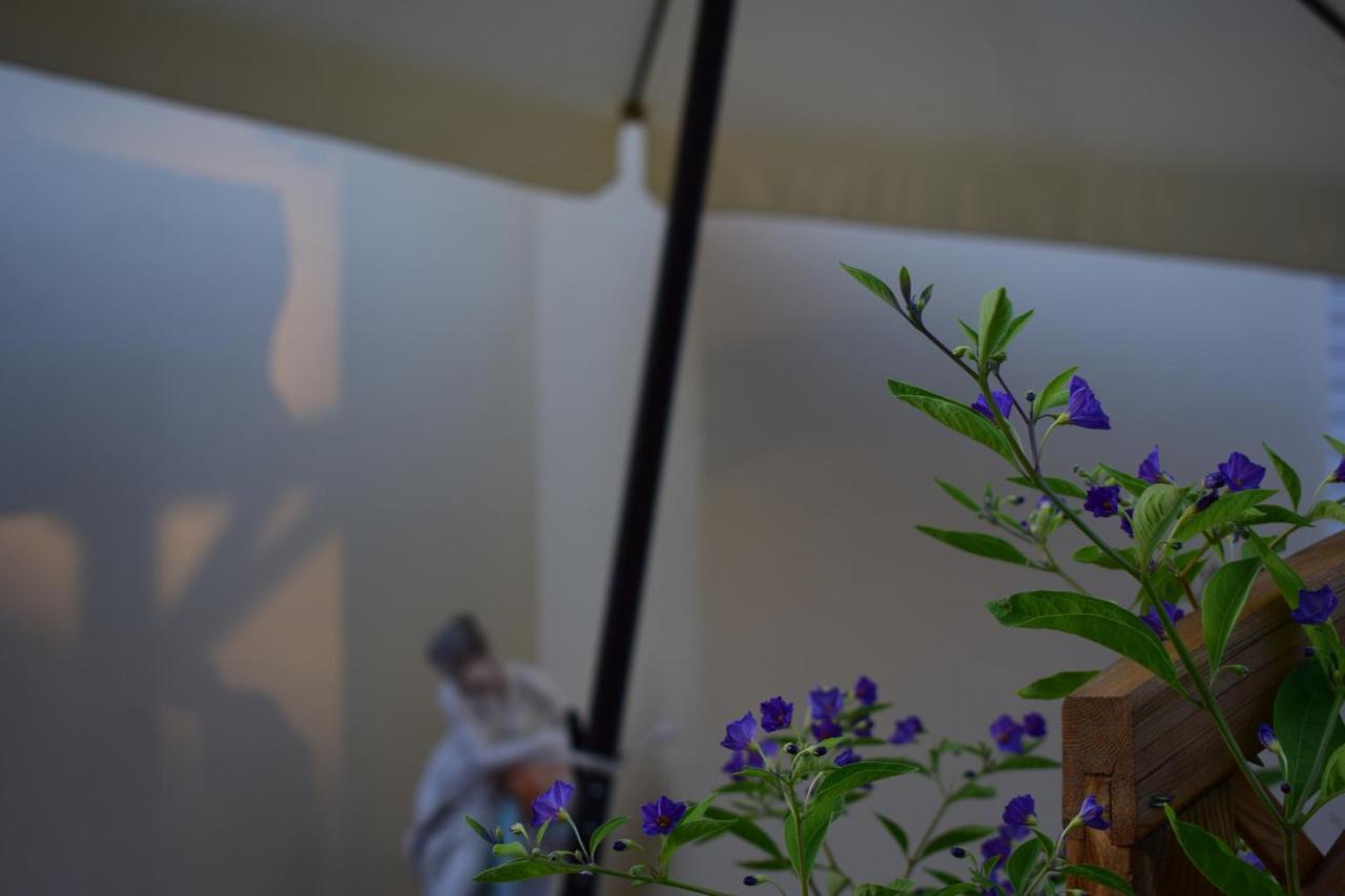 Domus Socolatae Apartments&Suites Follonica Kültér fotó